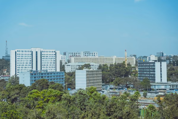 Flyg till Addis Abeba, Etiopien
