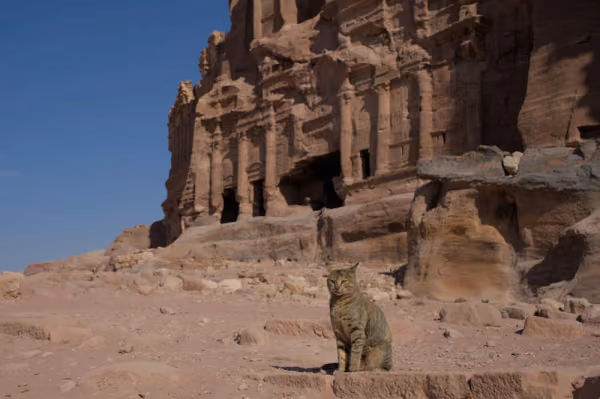 Flyg till Petra, Jordanien