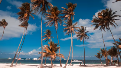 Flyg till Punta Cana, Dominikanska republiken