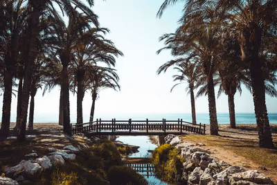 Flyg till Torremolinos, Spanien