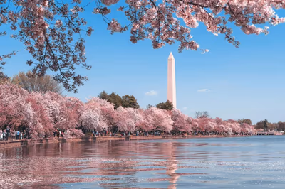 Flyg till Washington D.C., USA