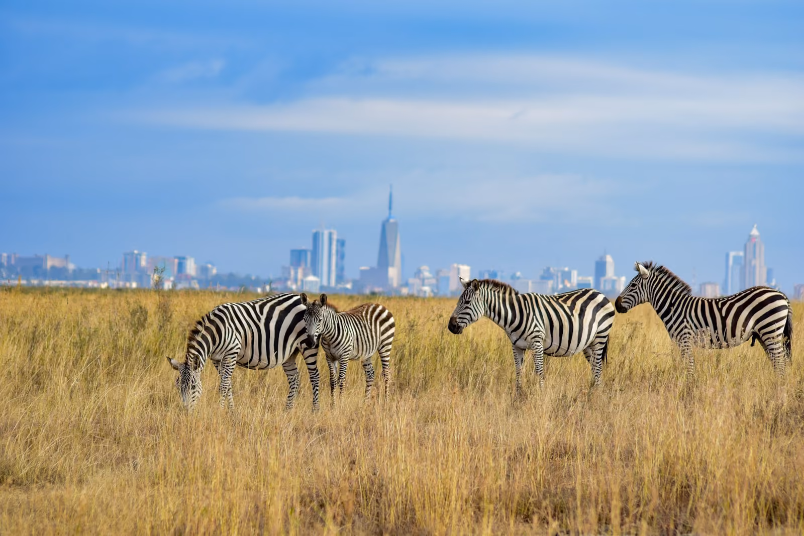 Vy över Nairobi