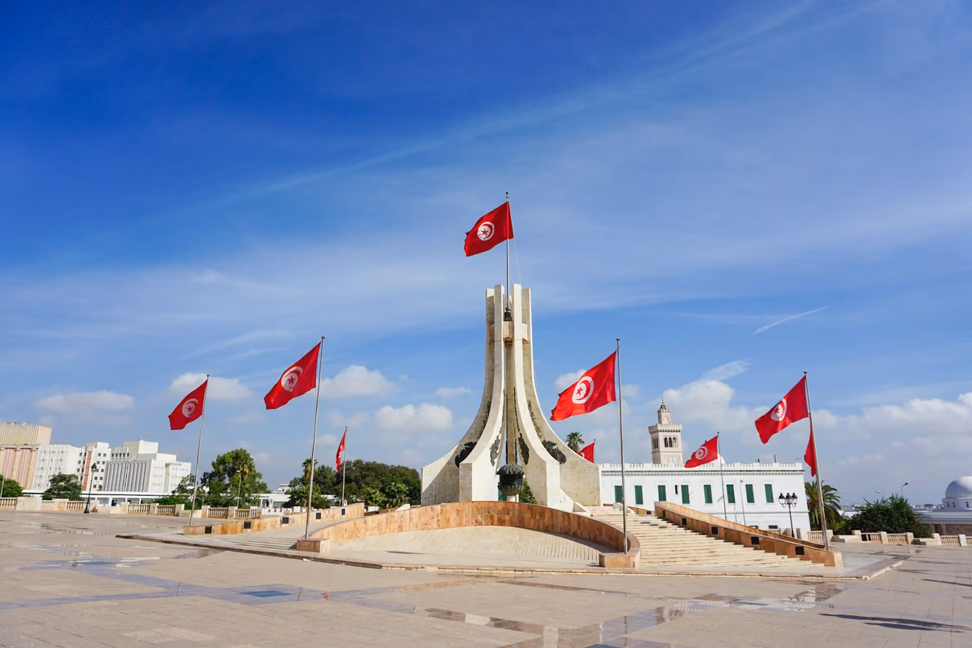Vy över Tunis